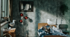 The 29th European Film Festival Palić starts tomorrow