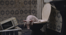 Programs New Hungarian Film and North Macedonia in Focus at the 30th European Film Festival Palić