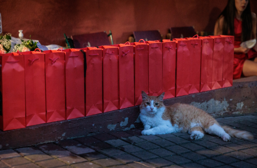 20th July - Summer Stage