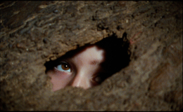 LA DURMIENTE