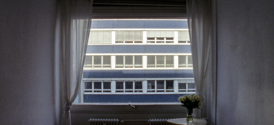 21,3° C